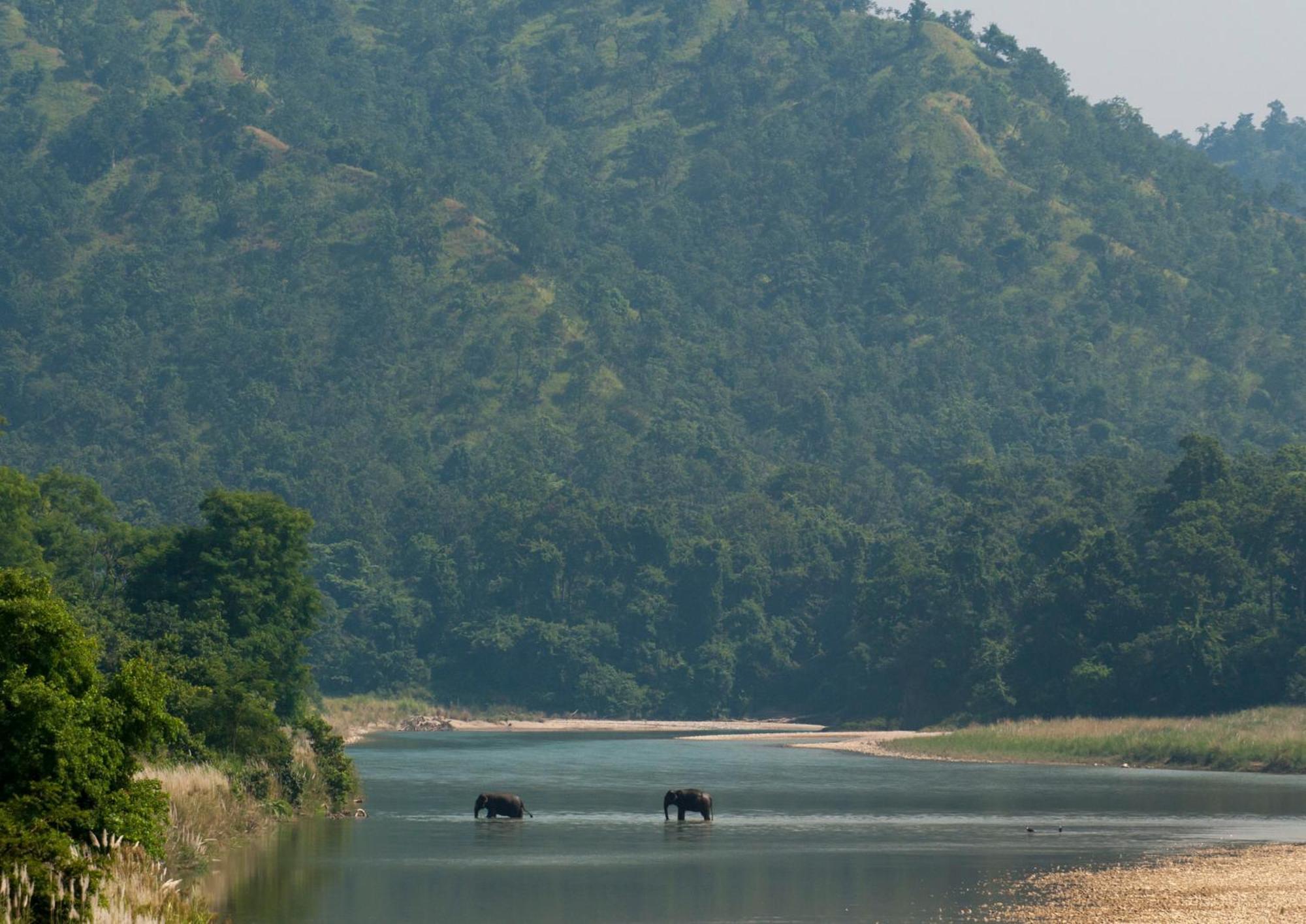 Tiger Tops Karnali Lodge Bardiya Dış mekan fotoğraf